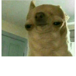 oiaraa