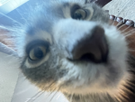 Keeping some eyes on you