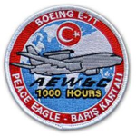 131. Filo Barış Kartalı