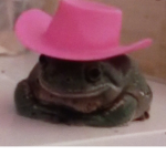 ~frog's cottage~
