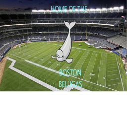 Boston Beluga Field