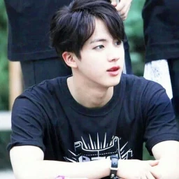 seokjin icon