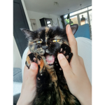 Cute staartje