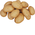 The real potato army