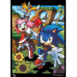 Archie Sonic Gamer YT group