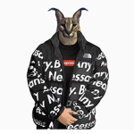 ToShoesGang