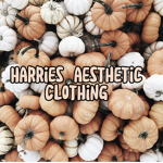 Harriet’s aesthetic clothing