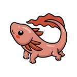 The axolotl_kings Army