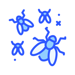 fly store