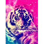 PuffyTigerYT