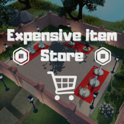 Expensive item store
