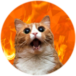 Kitty Killer