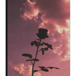 Rubies Flowers