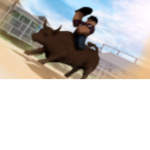 Rodeos Mexico