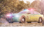 LEO/ Law Enforcement Group
