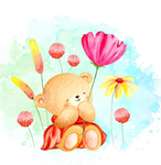 *TEDDY BEAR GROUP!!!!!!!!