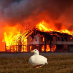A Silly goose!