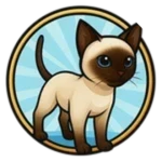 Pet Cat Roblox gamepass thumbnail