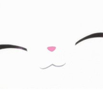 NekoKoneko~~❤️
