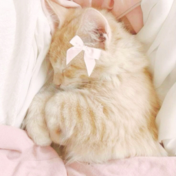 ♡