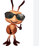 Ant team group