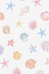 -Beachy Group-