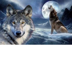 South Wolf Pack