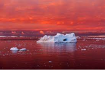 The Frozen Iceburg