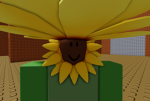 all of the sunflowers!