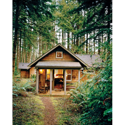 House In The Woods