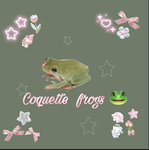 Coquette frogs