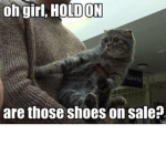 Cat Memes Are LIT