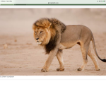 Lion_ bedwars clan
