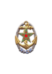 [RICM] Régiment d'Infanterie de Char Marine