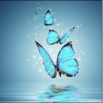 Blue&Butterfly