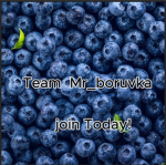 Team MRboruvka ayy