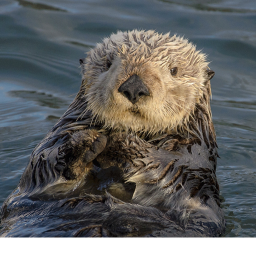 Otter beach hotels and resorts training center