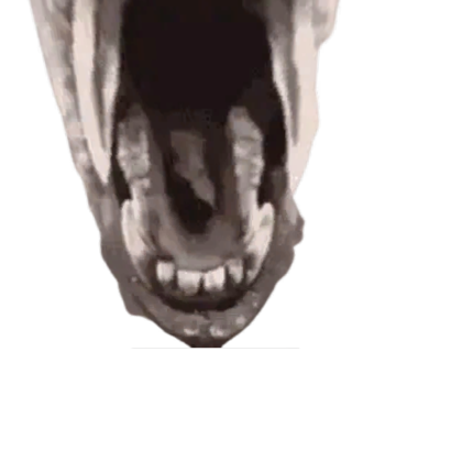 Donkey Fish Nextbot