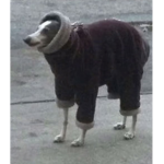 Stsnqfsizyhqa