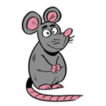 Pet Rat