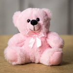 Pink Teddy Bear Group !