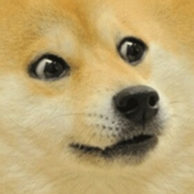 Dog Hotels Applications