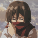 Mikasa's Blade