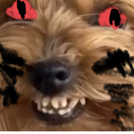 Aaaad