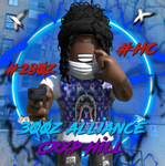 {crxpz Hill} 300z Alliance #HC #A4