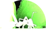 Lightmatter Ant