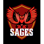 The Sages (Roblox Group)