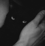 S0CIOPATH