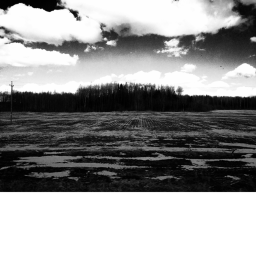 DayNight