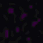 HYPED EGG GROUP